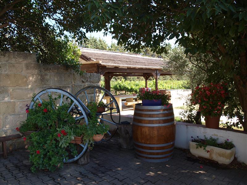 Domaine de Bagatelle_30600 VAUVERT_7 Domaine de Bagatelle_30600 VAUVERT_7